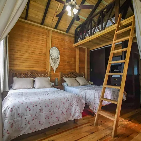 Alicat Villas